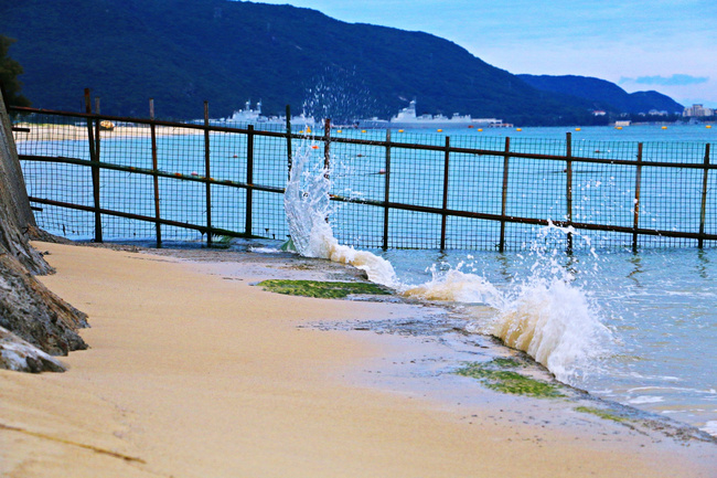 用味蕾感受爱情的酸甜苦辣,用味蕾感受美食独特的魅力