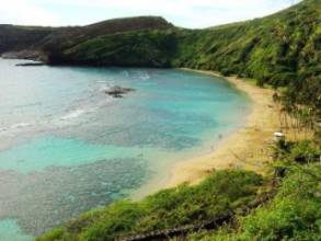 夏威夷旅游购物店,三亚热带天堂森林一日游攻略