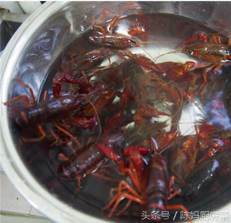 清洗龙虾的绝招,龙虾洗8遍了怎么感觉还脏