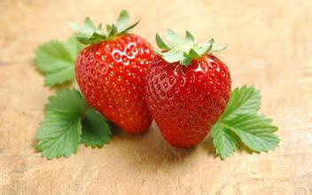 草莓的最佳口感,科学课草莓的秘密