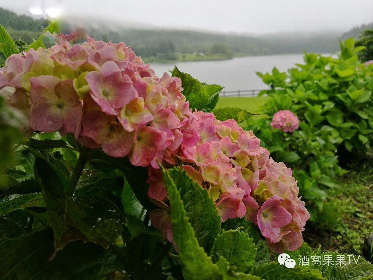 加勒比邮轮之旅,游轮畅游加勒比海