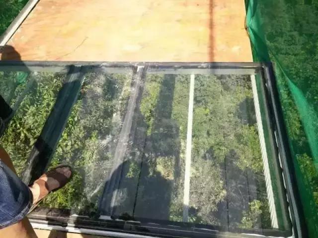 99%的人都不敢玩的十大景点,99%的人都不敢玩的恐怖游戏