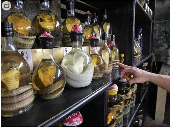 猎奇涨知识,猎奇酒配方