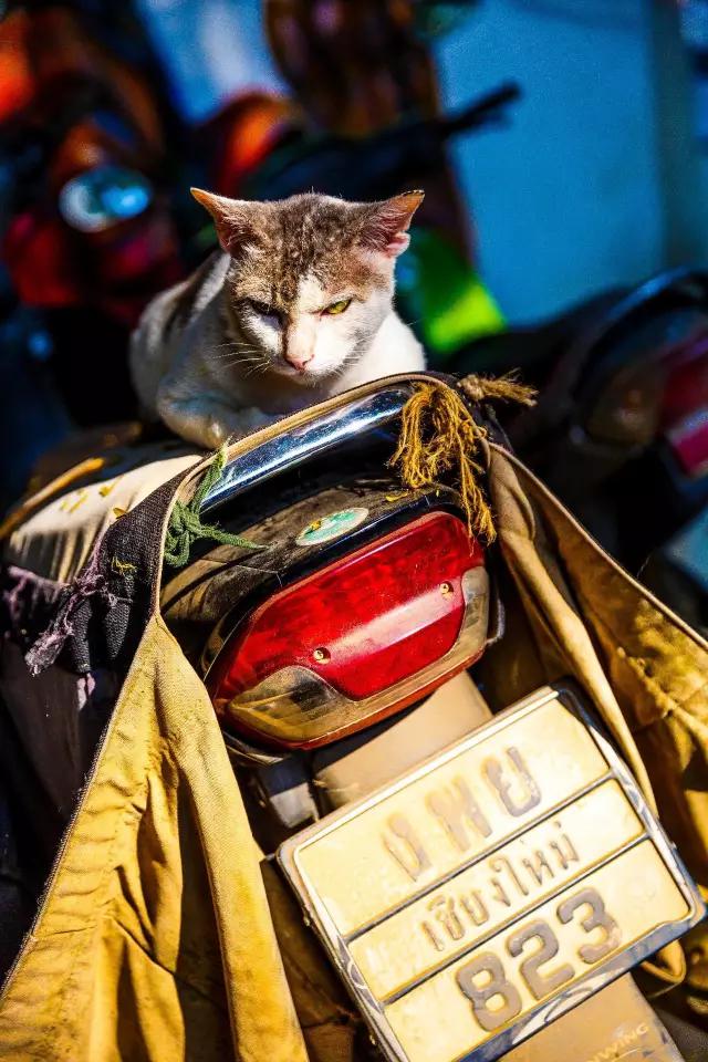 泰国，你凭什么成为全球最幸福的国家？