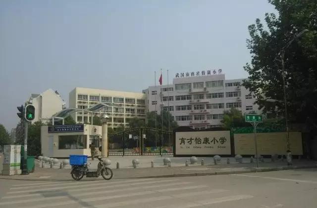 后湖十年前后的变化,武汉后湖这个区域咋样