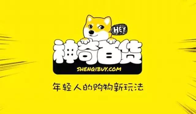 王凯歆:创业神童奇葩路,95后电商神话难服众