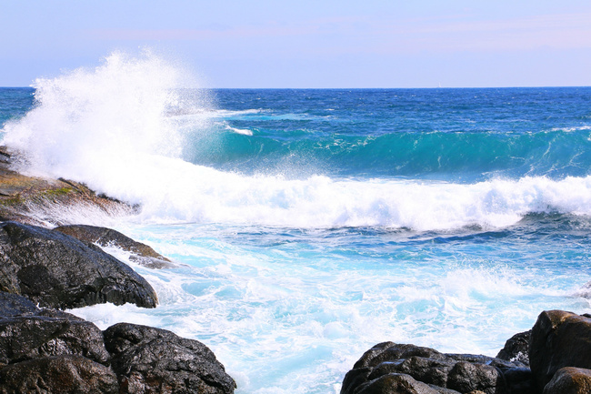 用味蕾感受爱情的酸甜苦辣,用味蕾感受美食独特的魅力