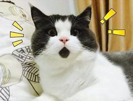 带你走进日本“免税店“，看看他们都在卖什么？