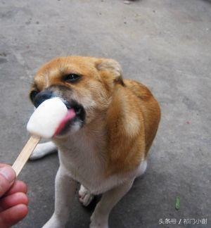 你们吃过辣椒口味的雪糕吗,作死吃冰棍视频