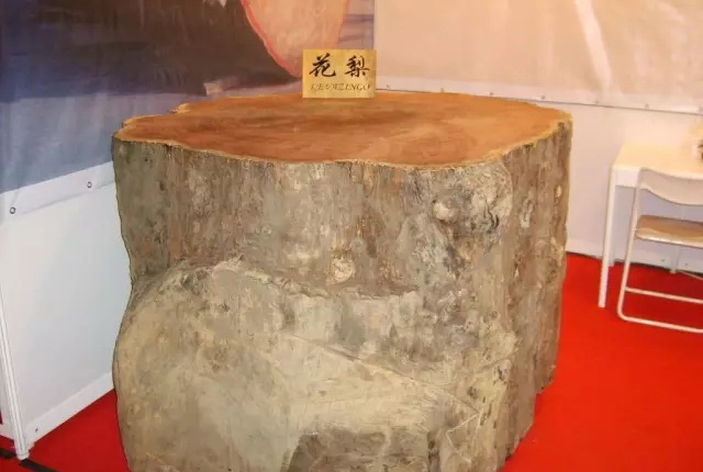 刺猬紫檀木材最近为什么暴涨,刺猬紫檀为什么会被限制进入