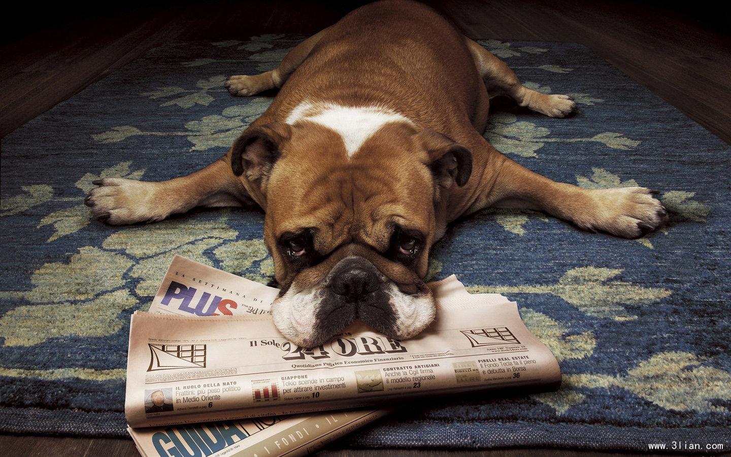 绝对干货——全球最顶尖人士都在学的心理课