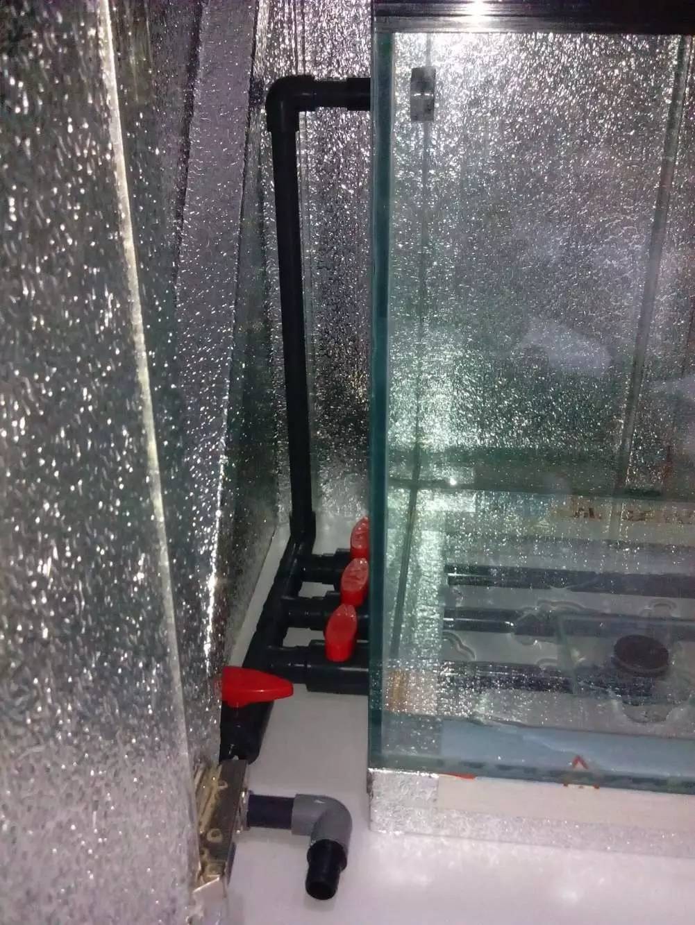 没养鱼有油膜,没养鱼只是在岸上走