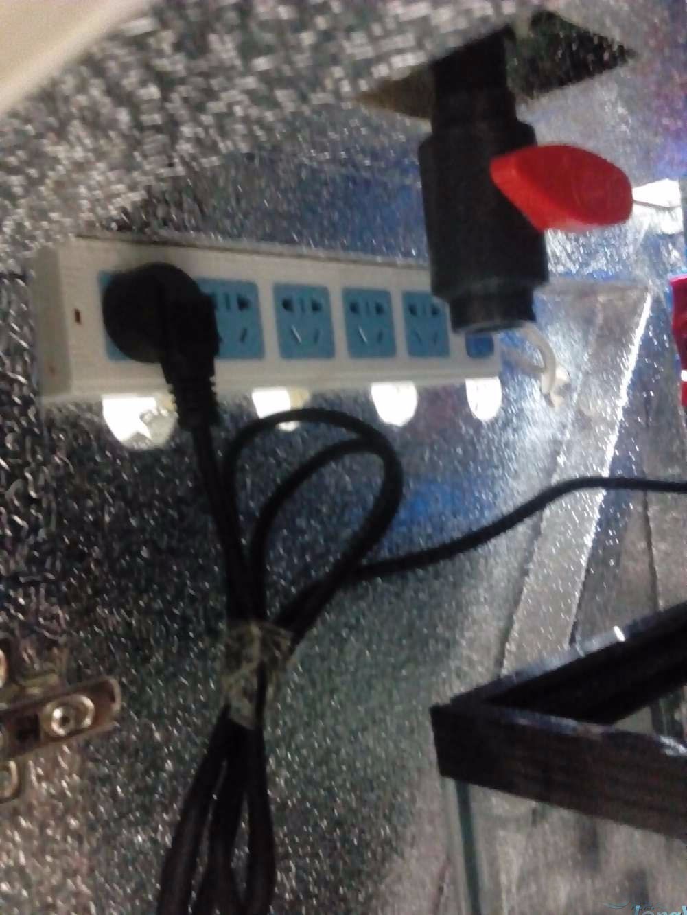 没养鱼有油膜,没养鱼只是在岸上走