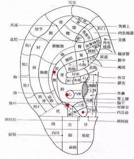 鑰崇┐鍩嬬苯鎿嶄綔浣滅敤,鑰崇┐鍩嬬苯涓村簥杩愮敤