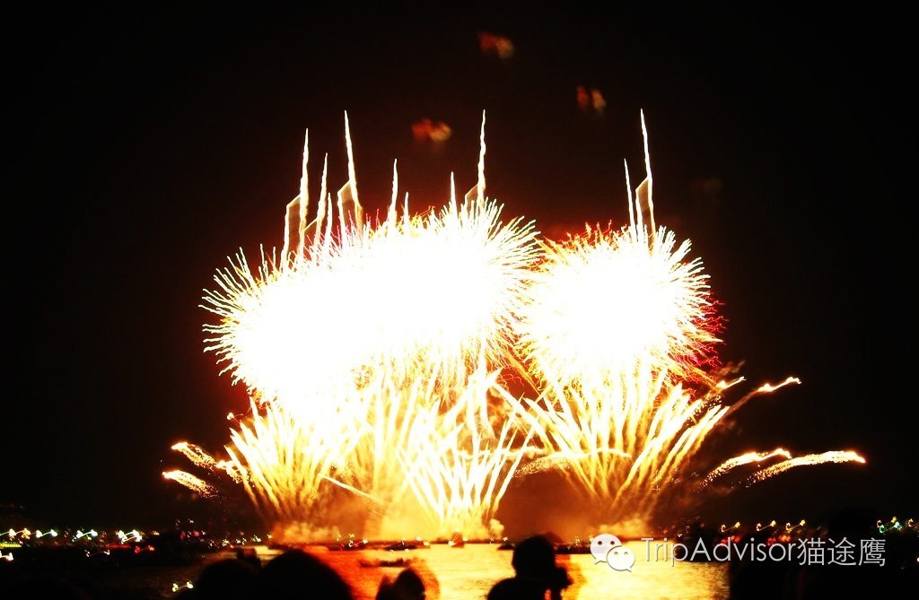 日本最大烟花美不胜收,日本最牛的烟花大赏