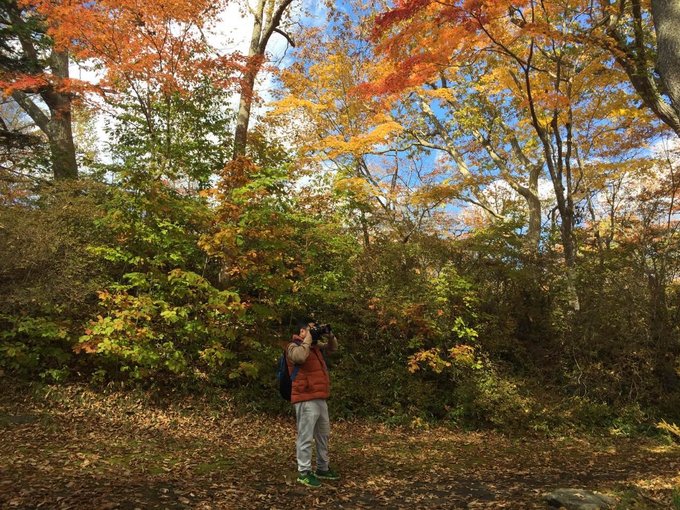 对于北海道，再一再二又再三之稚内、利尻岛、礼文岛、带广、神威岬、余市初造访