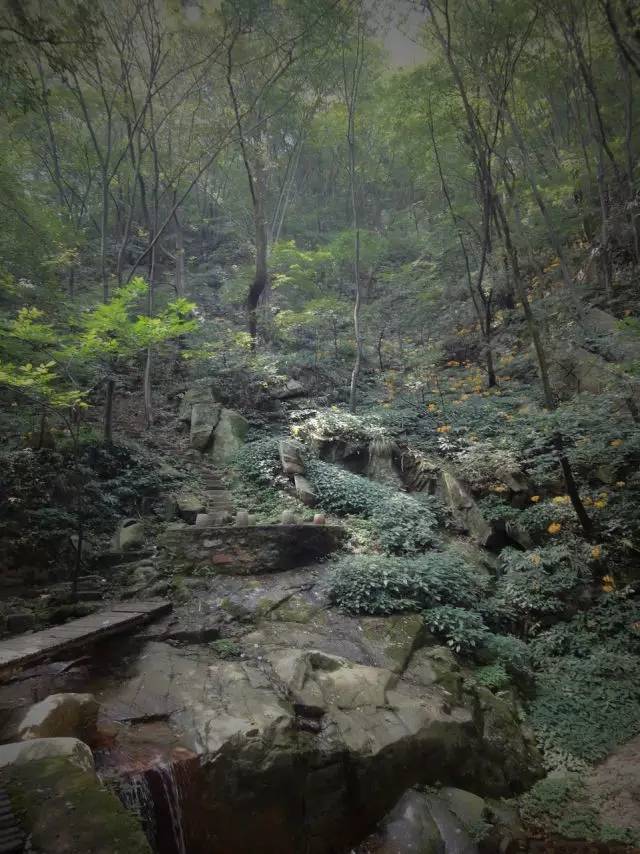 信阳避暑一个月,热吗来珠海避暑