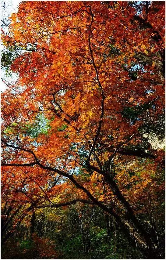 对不起！山西不只有煤，它还有仙本那，九寨沟，德天瀑布，贝加尔