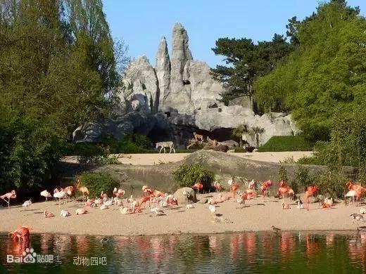 孩子喜欢的动物园,孩子喜欢的动物你绝对想不到