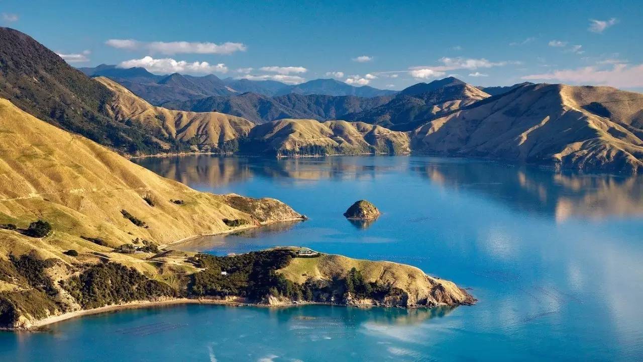 新西兰南岛大海,新西兰海鲜哪个最好吃视频