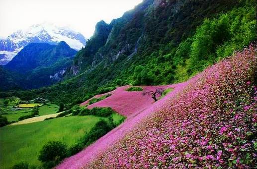 合肥到云南旅游全攻略自由行,合肥出发去云南攻略