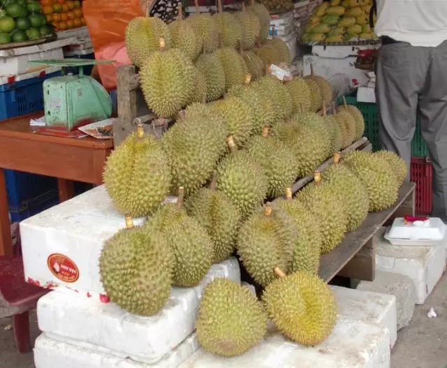 柬埔寨游玩推荐,柬埔寨旅游必去的九大绝佳景点