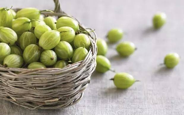 树莓、覆盆子、蔓越莓、黑莓，这些咖啡里的风味原型，你分得清楚