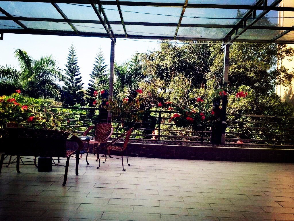 深圳十大经典民宿,深圳民宿推荐排名