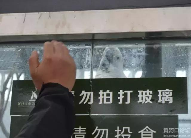 孩子喜欢的动物园,孩子喜欢的动物你绝对想不到