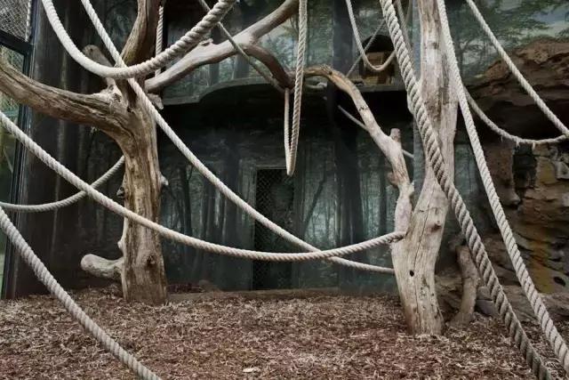 孩子喜欢的动物园,孩子喜欢的动物你绝对想不到