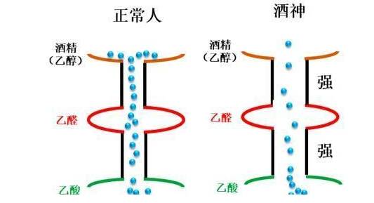 喝酒脸红的人到底能不能喝牛奶,喝酒脸红的人到底能不能喝图片