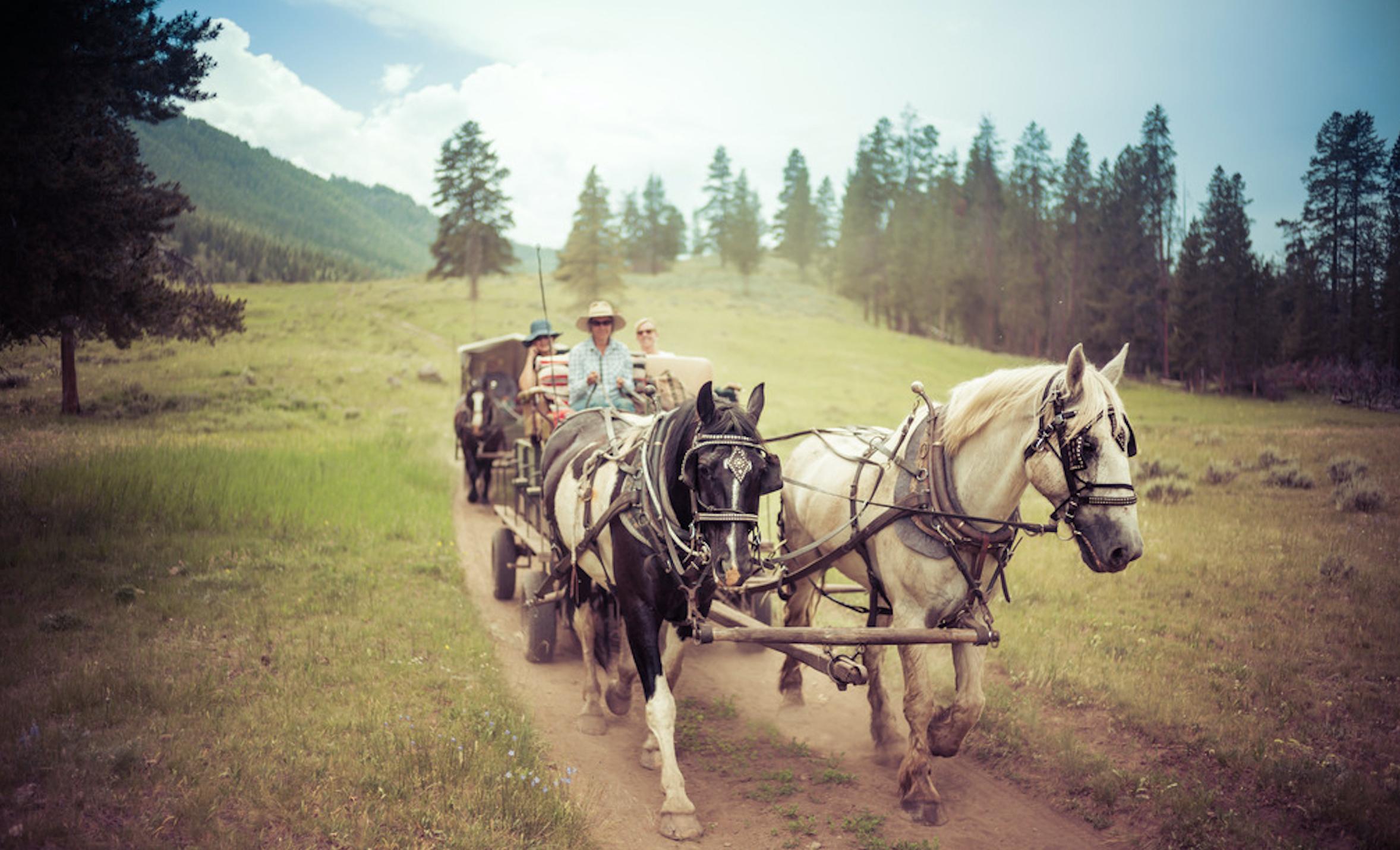 旅游局参公事业单位改革怎么改,旅游局改旅游委