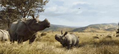 为什么3d电影那么逼真,什么3d电影出屏效果好