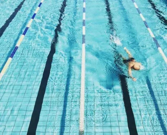 福州省体游泳馆价格一览表,福州最新游泳馆分布图