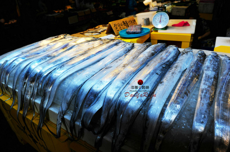 济州岛东门市场,济州岛海鲜市场