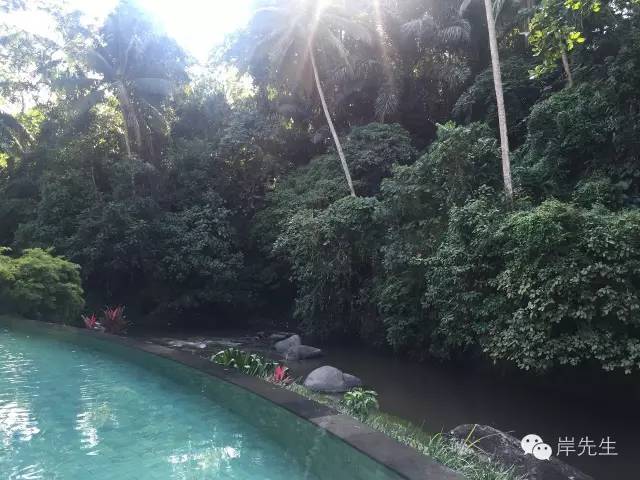 巴厘岛小众一日游,巴厘岛旅游攻略spa