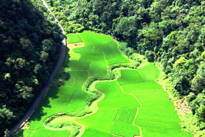 一辆车一家三口出去玩,一辆车带你旅行