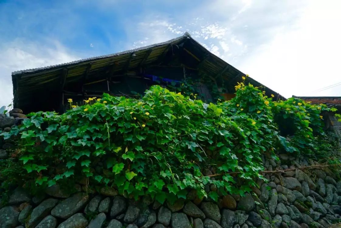 温州三八节免费景点,三八节好玩的地方温州