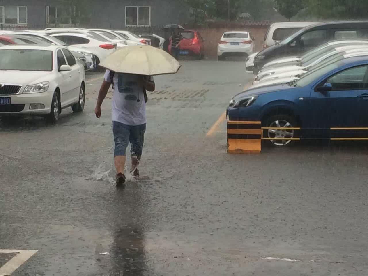 电动汽车分时租赁现状,电动汽车分时租赁