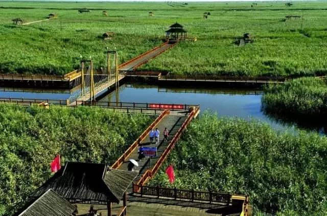 盘锦今年的夏天天气有多热,盘锦的夏天有什么风景
