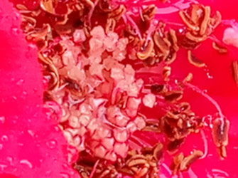 魅族MX6测评,魅族mx6最新测评