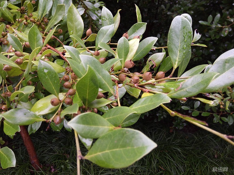 360n4s骁龙版评测,骁龙版360n4s值得买