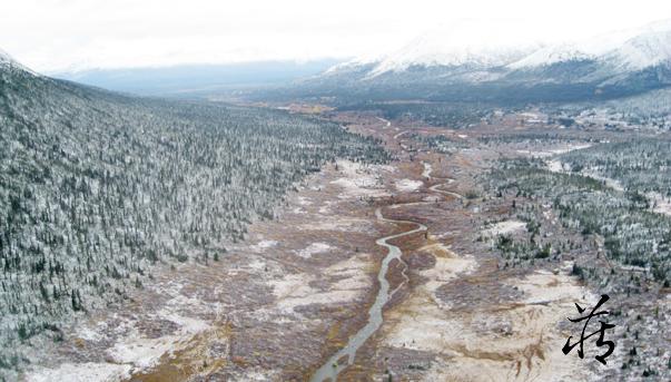 难以理解的外国人,中国玉雕工艺惊呆外国人
