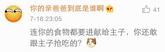 几乎无差评的猫粮狗粮,试吃狗粮猫粮