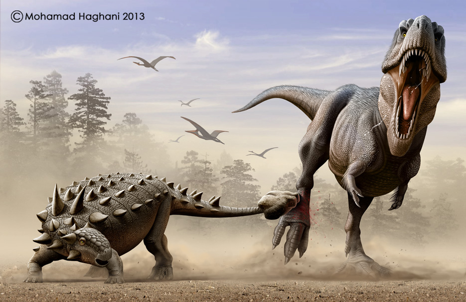 一锤子打断暴龙腿的中生代的“坦克”——甲龙