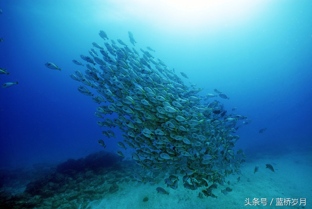 足球的地理位置在哪,足球五大位置详解