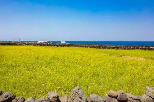 济州岛对中国一直免签吗,济州岛是对全球免签的吗