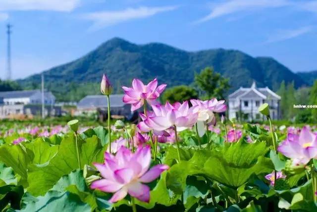 信阳避暑一个月,热吗来珠海避暑