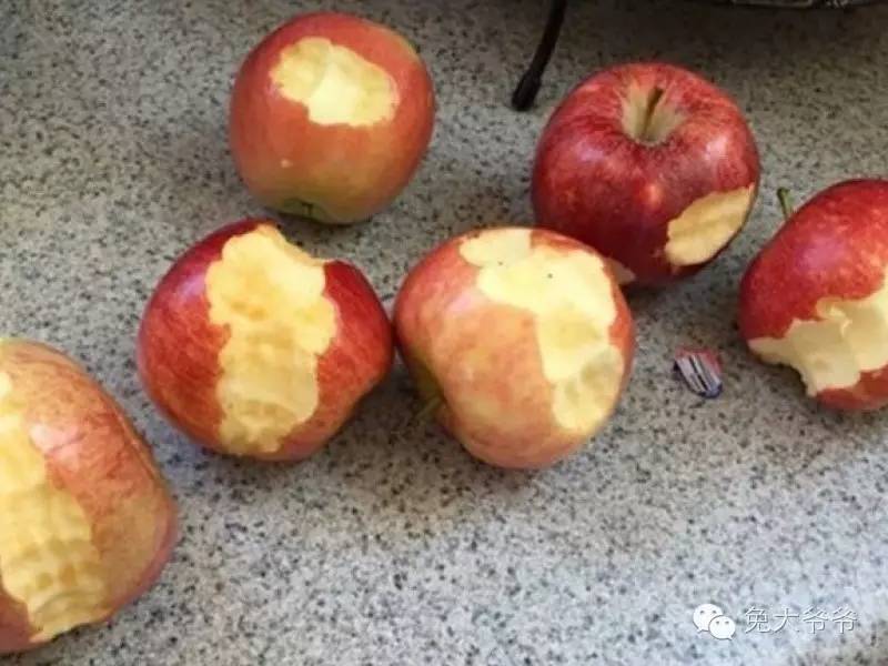 避孕各种方式有效几率,欧美最流行的避孕方法