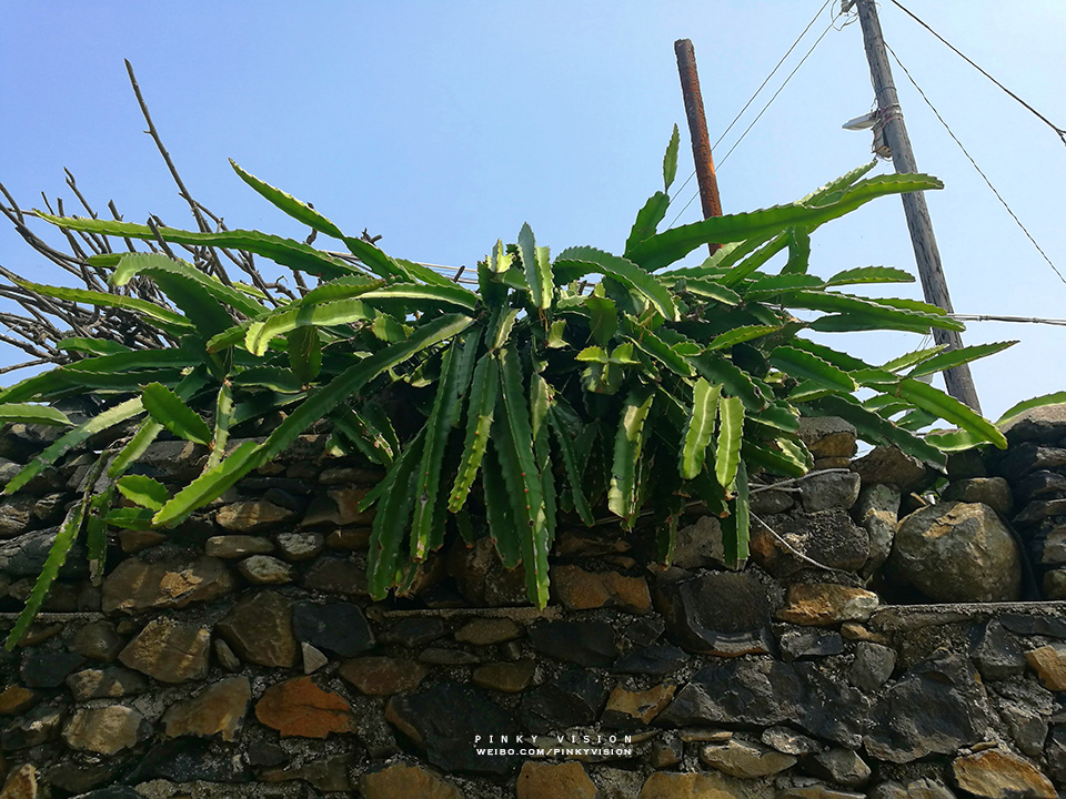 travel环球旅行,travel新旅行